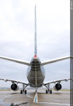149331-g5jmtss95t-whr.jpg