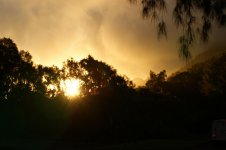 DSC00790.jpg
