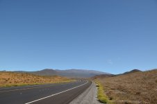 DSC_1031.jpg