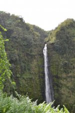 DSC_1176.jpg