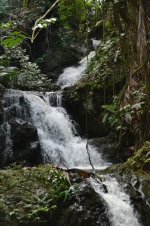 DSC_1239.jpg