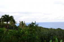 DSC_1944.jpg