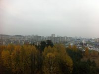 IMG_3163.jpg