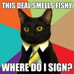 business-cat-this-deal-smells-fishy.jpg