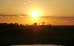 Afrika_013_5700k.jpg