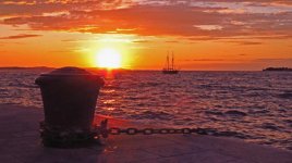 IMG_1626.jpg