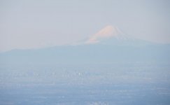 IMG_9167.jpg