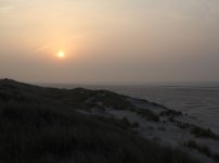 ImageUploadedByTapatalk1408607172.616321.jpg