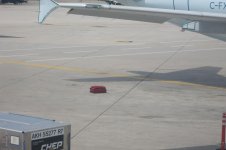 IMG_0615.jpg