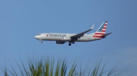 0378 Miami.jpg