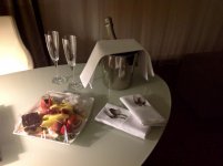 Hilton Danube.jpg