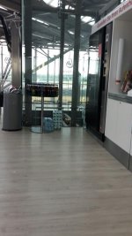 20150815_104723_rz.jpg