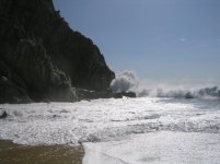 IMG_0401.jpg