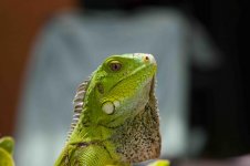 IMG_5809.jpg