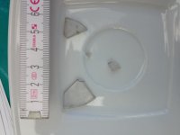 IMG_0500.jpg IMG_0500.jpg