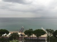 IMG_9869.jpg