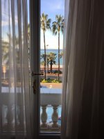 IMG_0050.jpg
