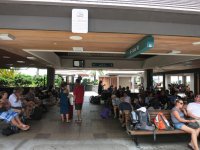 2015_Hawaii_2016_IMG_3495s.jpg