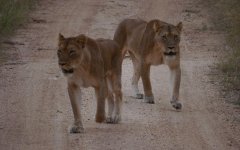 Afrika_013_0755.jpg