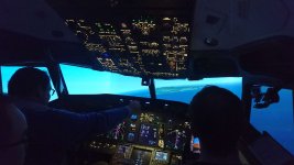Sim1.jpg