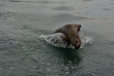 JUN_2737.JPG JUN_2737.JPG