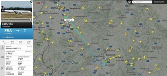 D-AIGS31122015.jpg