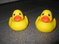 IMG_5796.jpg