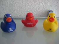 Enten.jpg