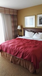 IMG_20160427_180124.jpg
