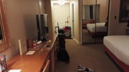 IMG_20160502_212216.jpg