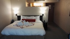IMG_20160429_163628.jpg