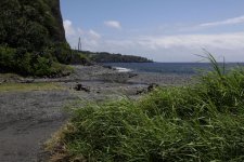 Hawaii 2014 291.jpg