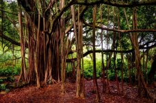 DSC_7846_7_8_fused.jpg