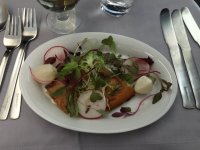 SK926_Salad.JPG