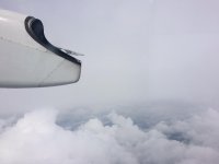 IMG_5172.jpg