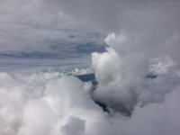 IMG_5234.jpg