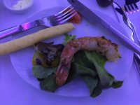 IMG_5032.JPG