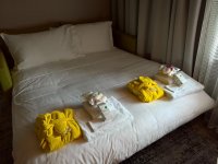 WP_20160606_09_19_25_Pro.jpg