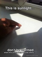 sunlight.jpg