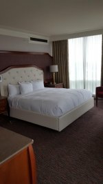 20160816_135209.jpg