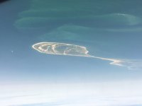 Nantucket_Anflug2.JPG