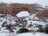 ARMV01.jpg ARMV01.jpg