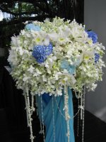 IMG_5002.jpg