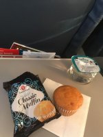 ImageUploadedByVielfliegertreff1483099638.609751.jpg