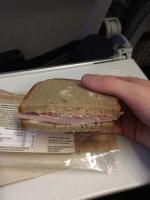 ImageUploadedByVielfliegertreff1481398047.685707.jpg