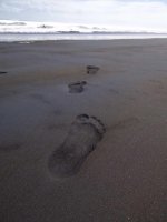 ImageUploadedByVielfliegertreff1488612159.010676.jpg