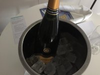 ImageUploadedByVielfliegertreff1488883148.623632.jpg