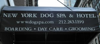 DSCN0273 (2).jpg DSCN0273 (2).jpg