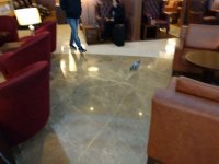 IMG_20170823_35946.jpg