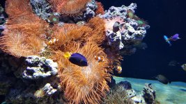 20170607_105750.jpg